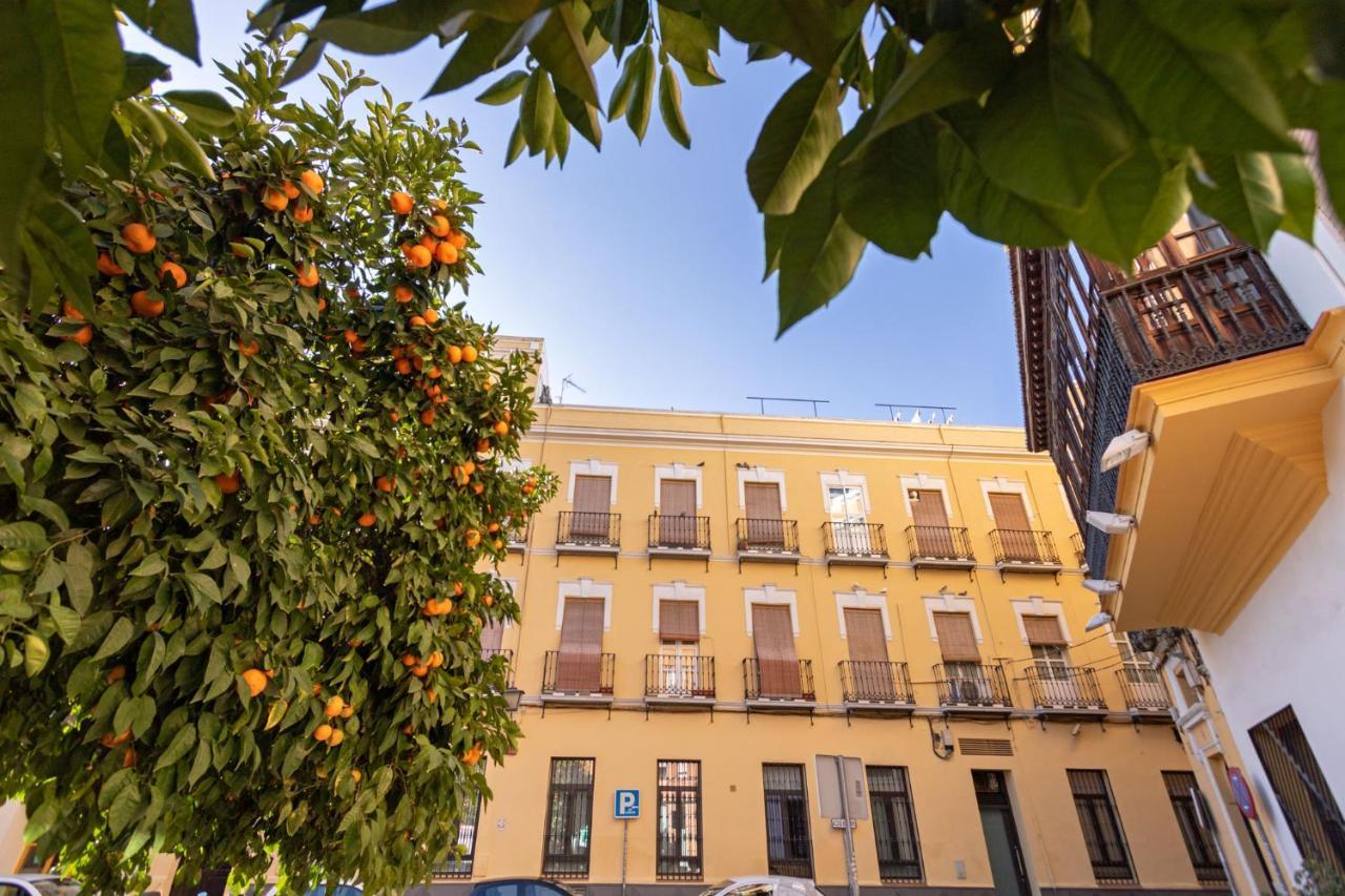 Nine O Clock San Agustin, Seville